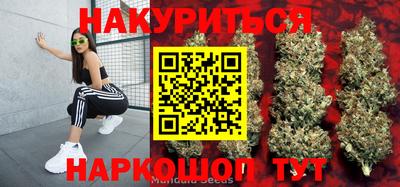 дурь Шебекино